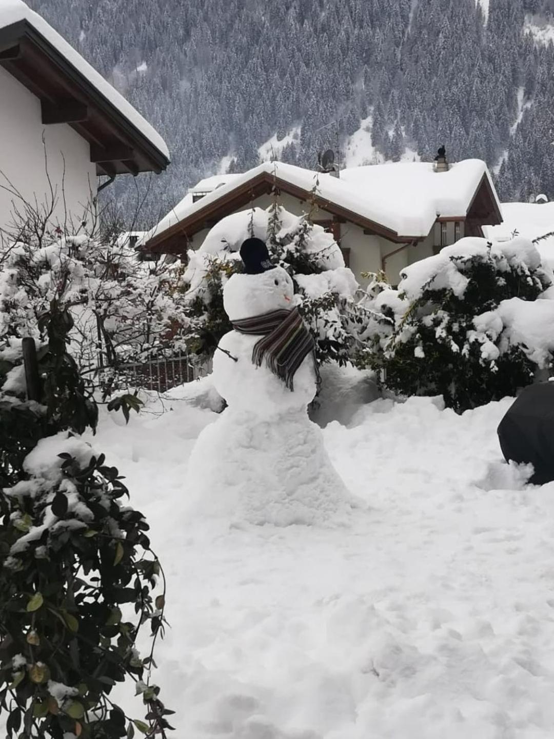 Appartamento Con Giardino Carisolo Exteriör bild