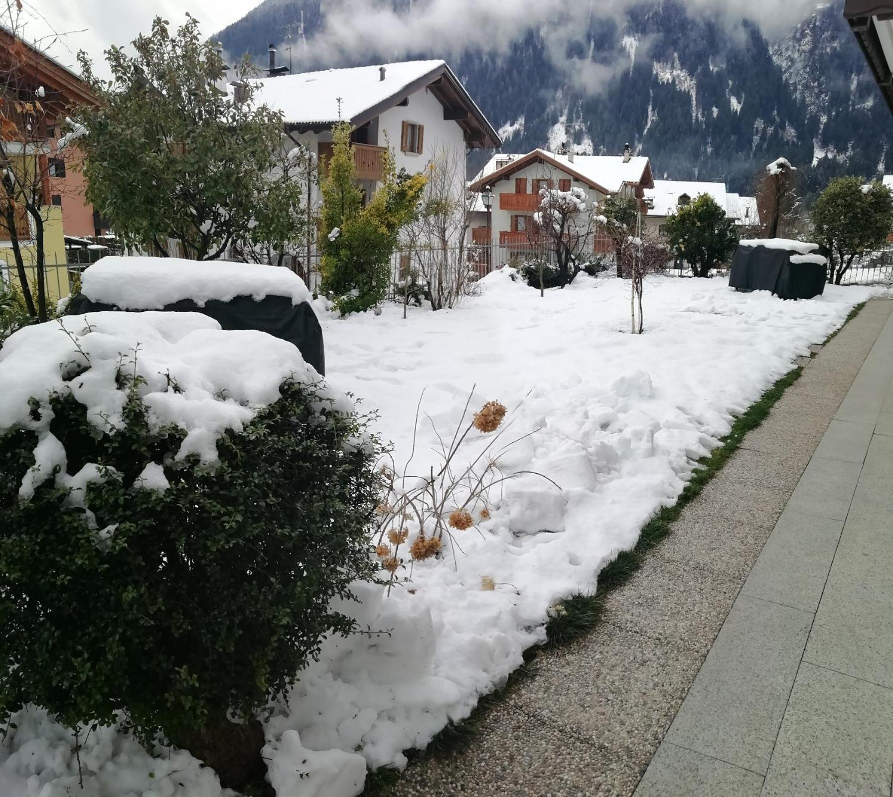 Appartamento Con Giardino Carisolo Exteriör bild
