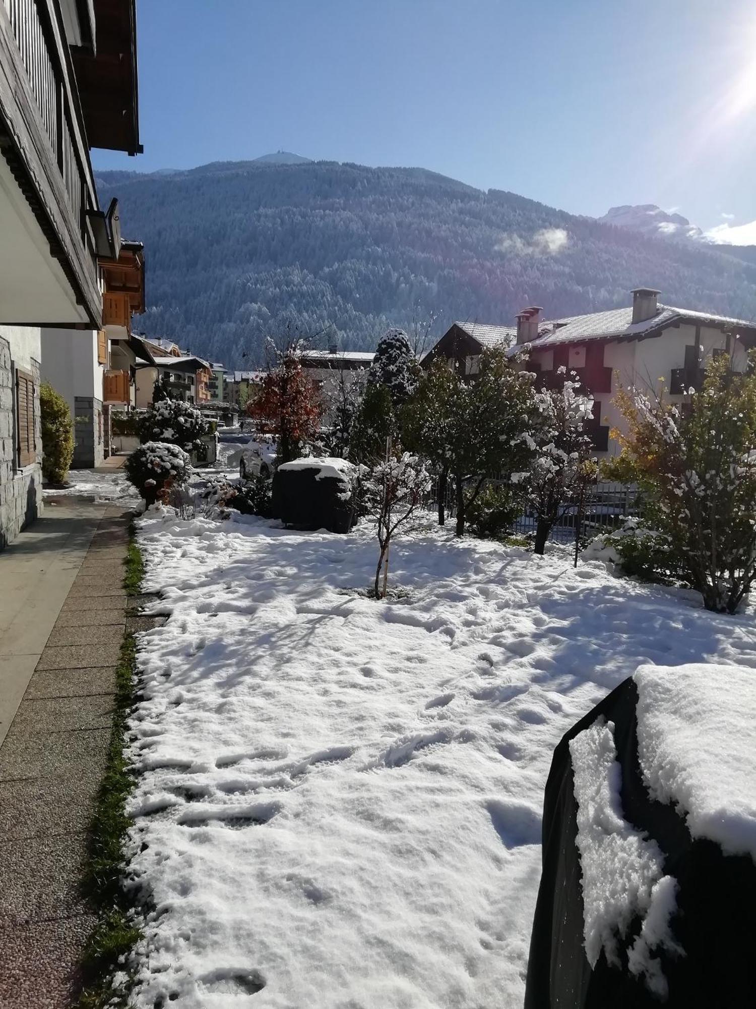 Appartamento Con Giardino Carisolo Exteriör bild