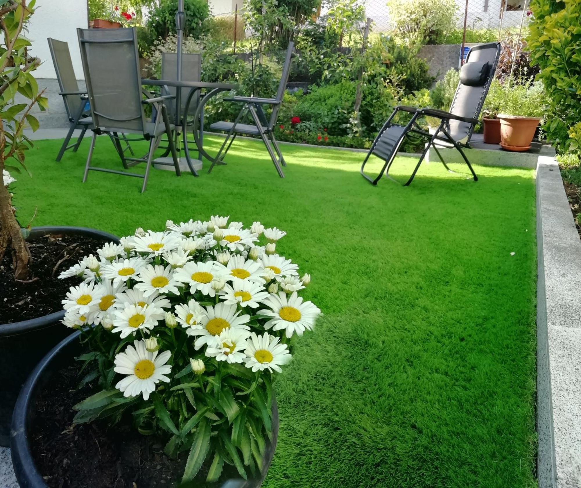 Appartamento Con Giardino Carisolo Exteriör bild